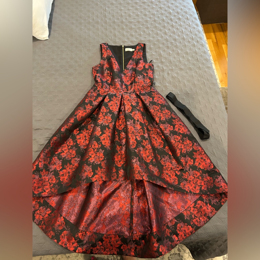 Eliza J Red and Black Patterned Dress